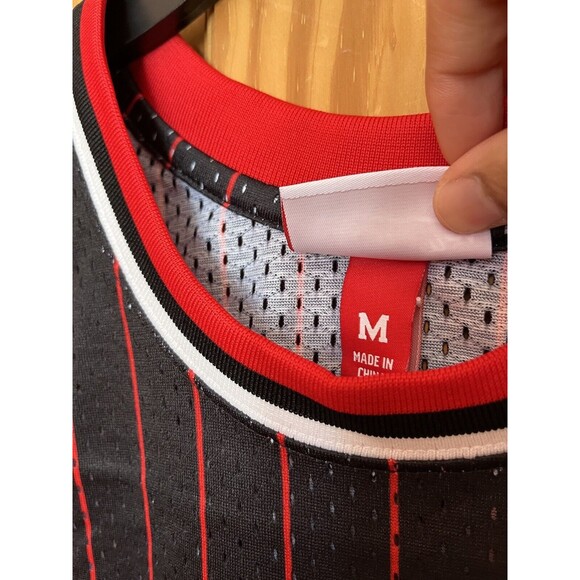 Mitchell & Ness NBA Swingman Bulls Dennis Rodman Alternate Jersey 95-96 Size M - Picture 11 of 12